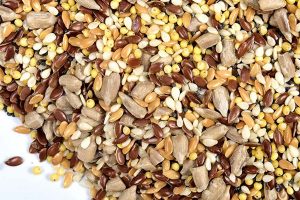 multigrain seeds mix